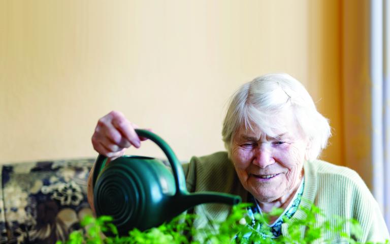 Elderly woman watering plants