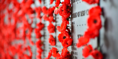 Red poppies on a memorial wall