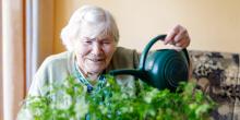 Senior woman watering her plants